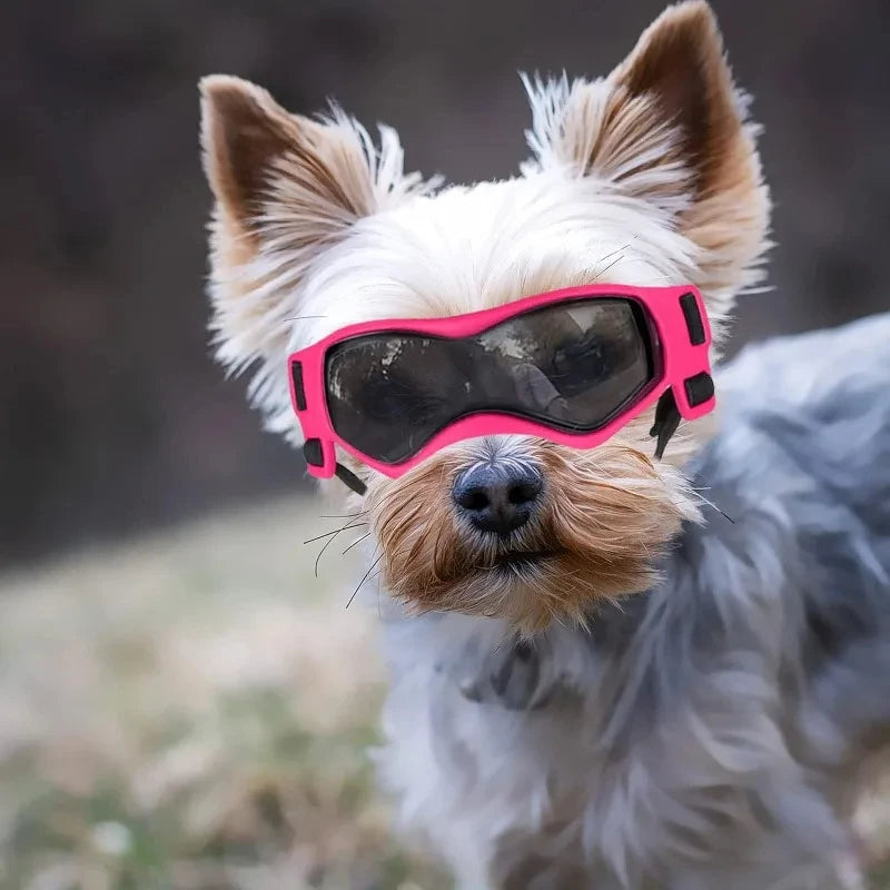 UV Protective Dog Goggles – Sunglasses for Small & Medium Dogs | Wind, Dust & Sun Protection