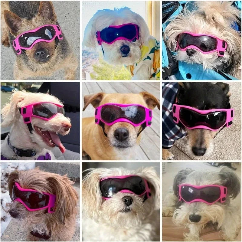 UV Protective Dog Goggles – Sunglasses for Small & Medium Dogs | Wind, Dust & Sun Protection