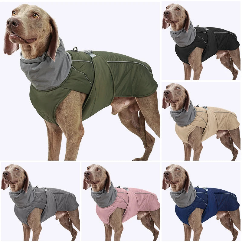 Luxury Winter Dog Jacket – Warm & Stylish Coat for Small, Medium & Large Dogs